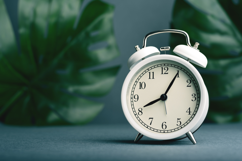 Alarm clock on the tropical monstera leaves